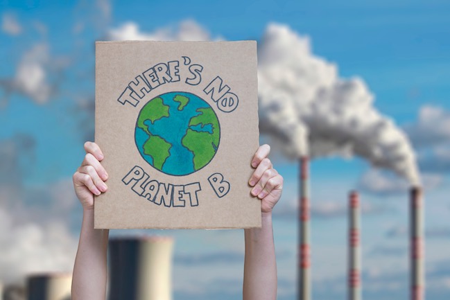 Big Picture Activism - rethinking basic assumptions - Local Futures