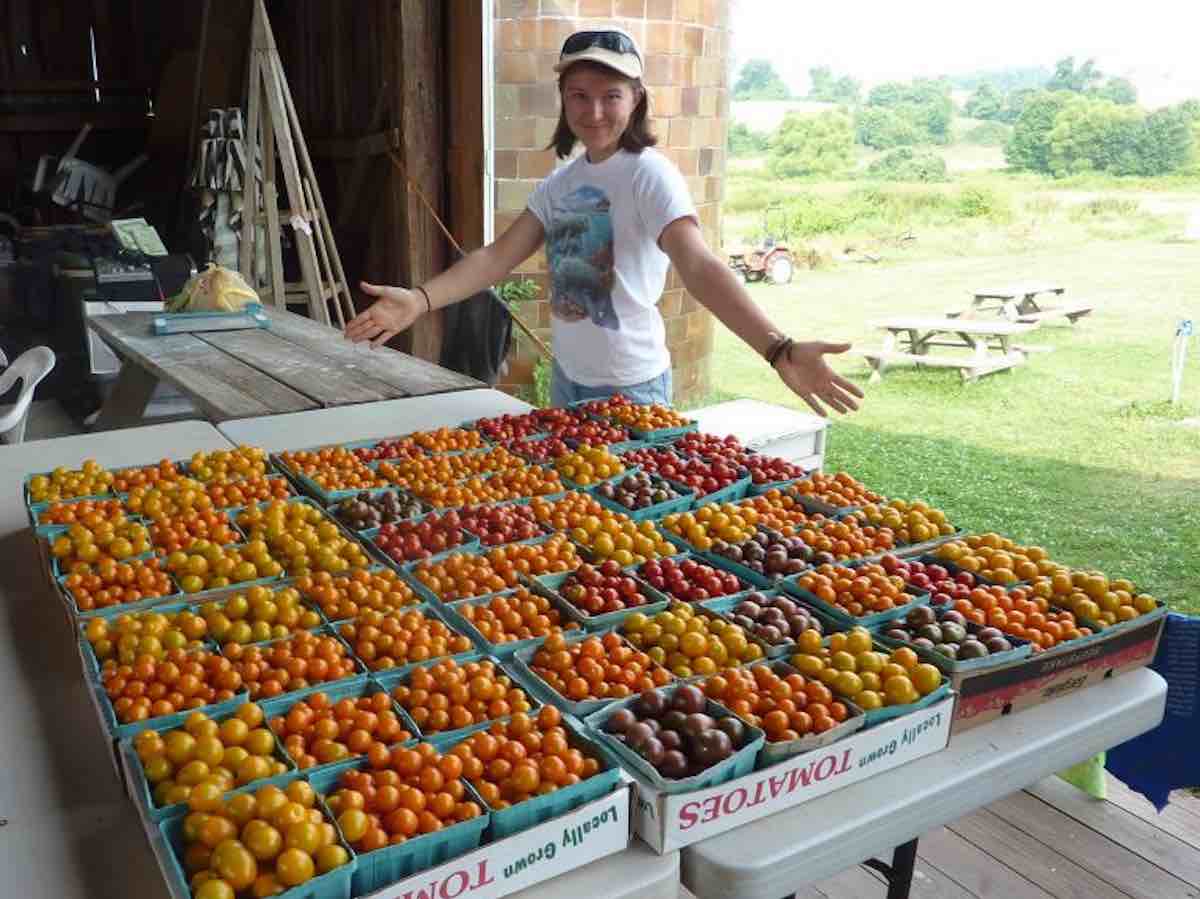 Big Farms Don't Feed the World - Blog Local Futures