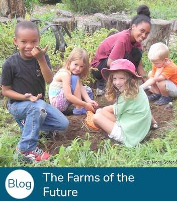 Blog The Farms of the Future