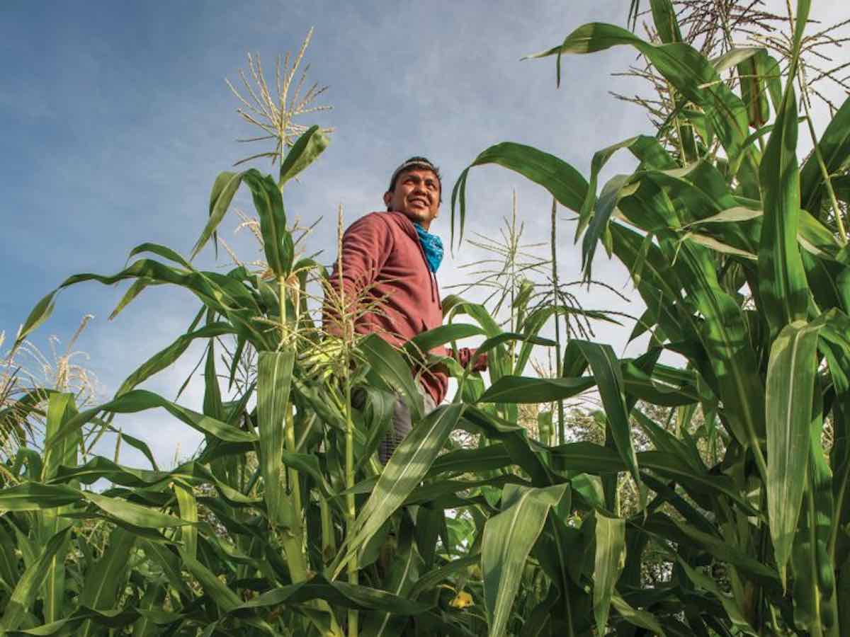Blog Food sovereignty on the Navajo Nation by Lyric Aquino 2