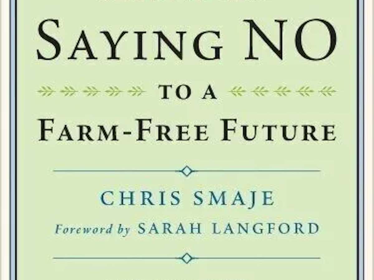 Blog New World to Build by Chris Smaje