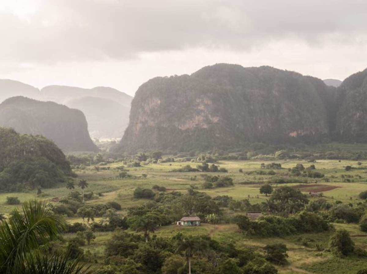 Blog The Cuban Paradox by A Growing Culture. Photo by Elcarito on Unsplash.