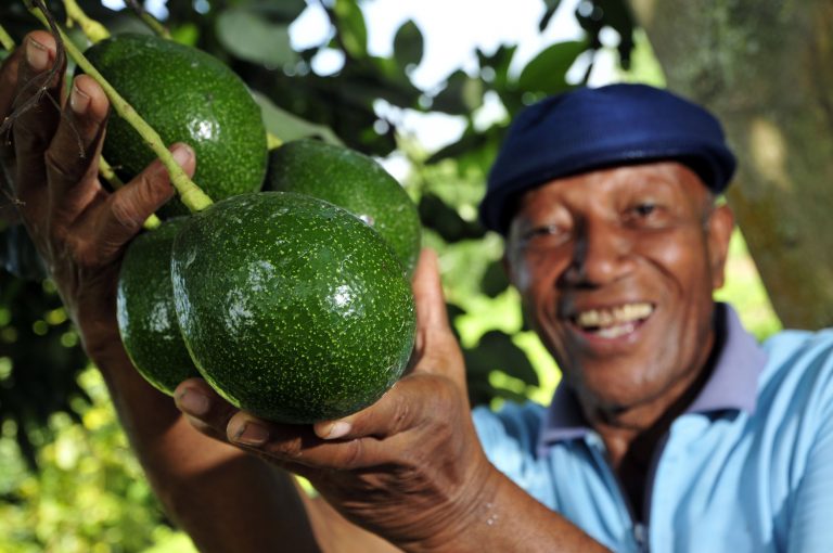 Blog Can small-scale farmers feed the world? by A Growing Culture 