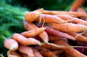 Carrot Project