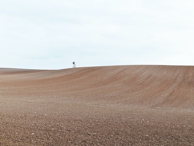 The March of the Monoculture by Helena Norberg-Hodge. Photo by Niklas Hamann on Unsplash.