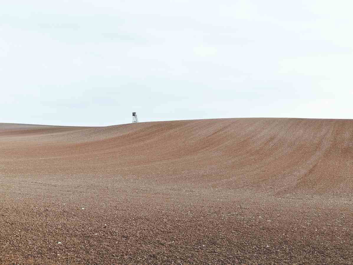 The March of the Monoculture by Helena Norberg-Hodge. Photo by Niklas Hamann on Unsplash.