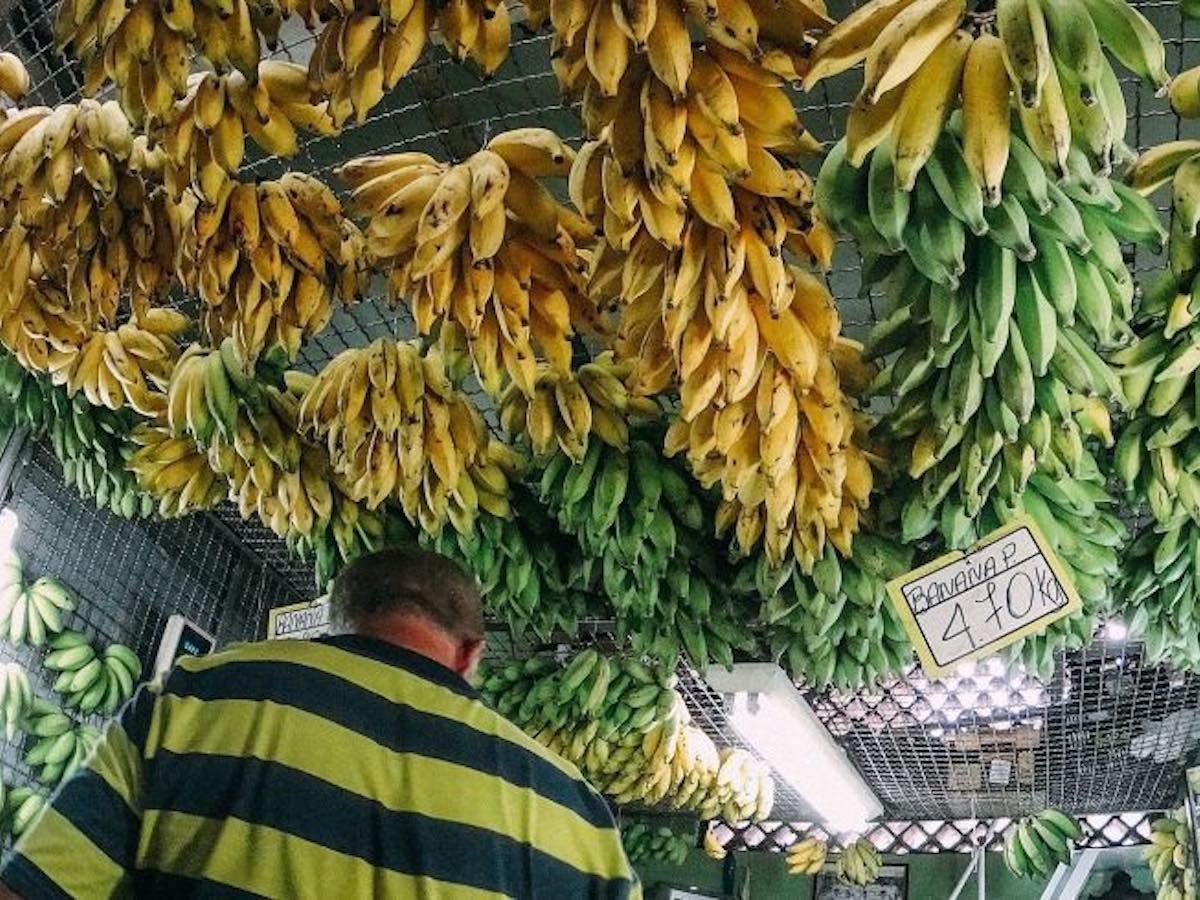 Blog What if food were treated as a human right? by A Growing Culture