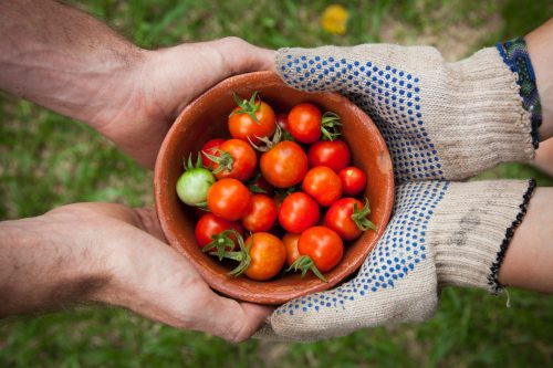 Blog 'Community-oriented life at human scale' by Jorn Bettin. Photo by Elaine Casap on Unsplash.