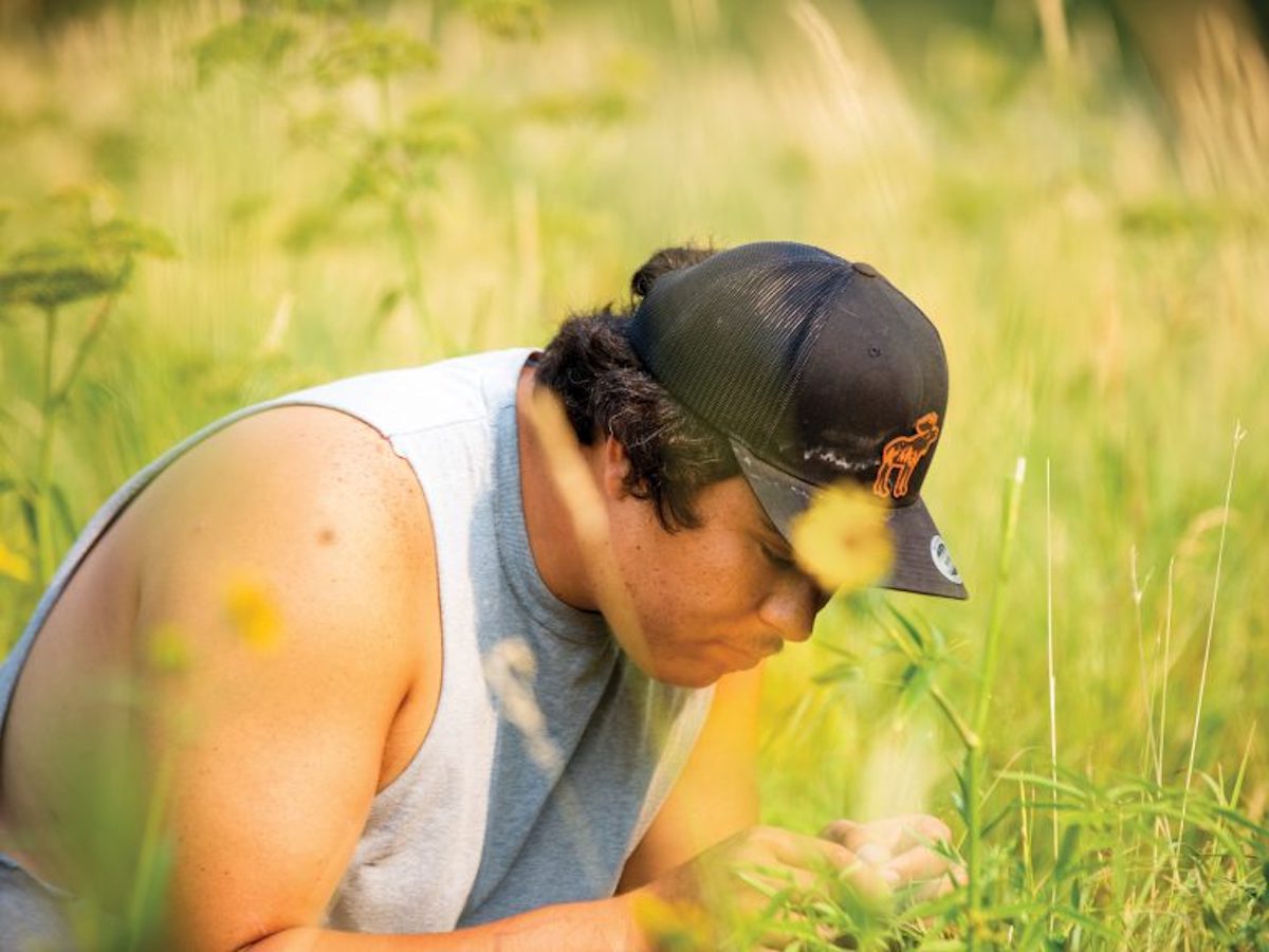Collecting seeds to restore prairie grasslands - blog Local Futures