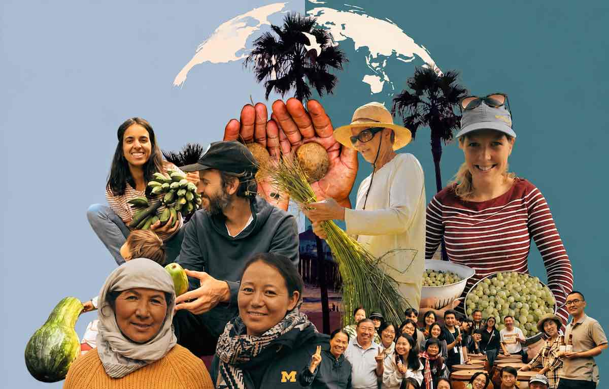 Rooted in Place - online magazine by Local Futures